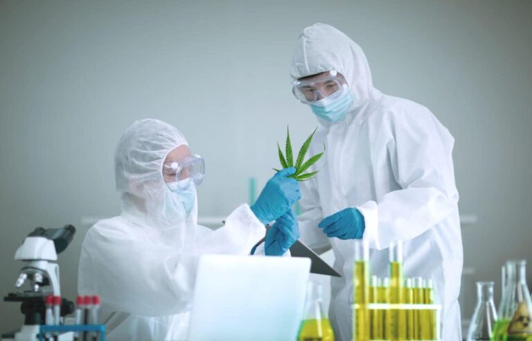 Leading US Cannabis Testing Facility Jumps on the Metaverse Bandwagon