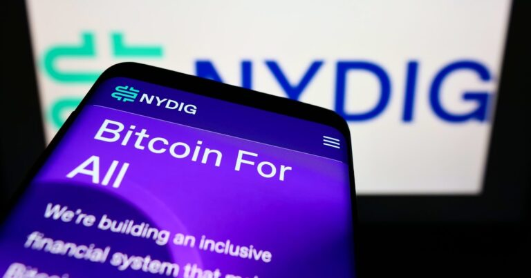 A Third of Staff Laid Off at Digital Investment Group NYDIG: WSJ