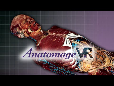 Anatomage VR brings interactive anatomy learning to the metaverse