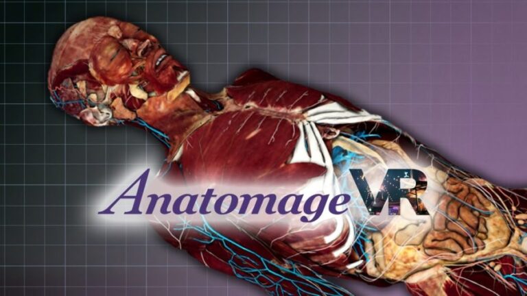 Anatomage VR brings interactive anatomy learning to the metaverse