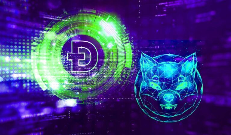 Crypto Insights Firm Says Shiba Inu Could Abruptly Follow Dogecoin Rally As SHIB Gains Steam Against Bitcoin