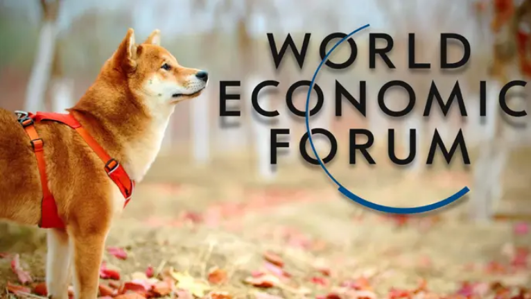 Shiba Inu receives an invitation from WEF to talk about Metaverse