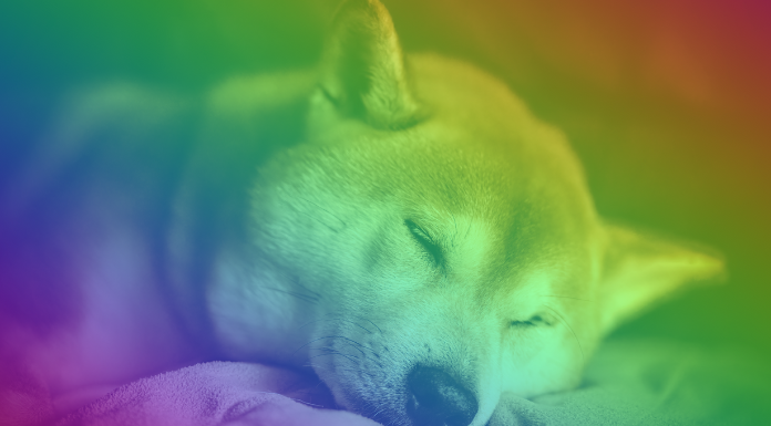 Shiba Inu gets a new update from the metaverse, but can he help SHIB up?