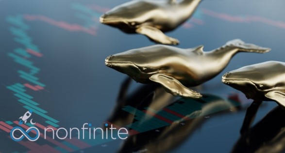 Nonfinite Web3 Crypto Exchange Announces Launch