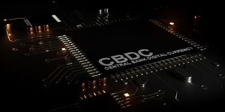 Pakistan Reveals Its CBDC Plans and Indonesia Says Digital Rupee Will Operate in the Metaverse