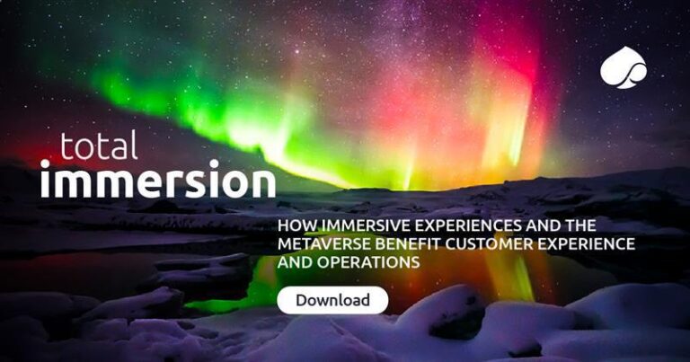 Full Immersion: How Immersive Experiences and the Metaverse Benefit Customer Experience and Operations |  research and knowledge