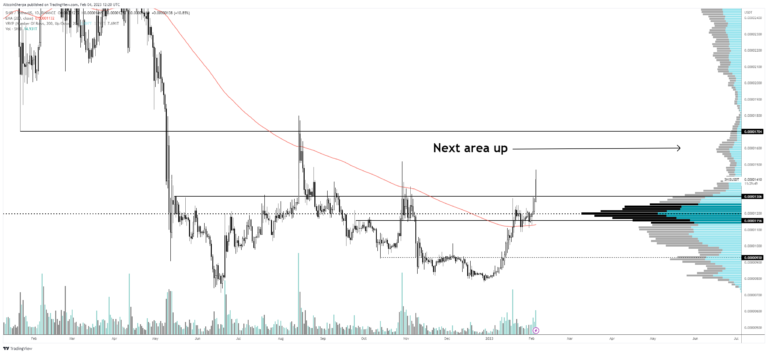 Analyst Forecasts Extended Rallies for Shiba Inu, Avalanche, Fantom and One Additional Crypto Asset